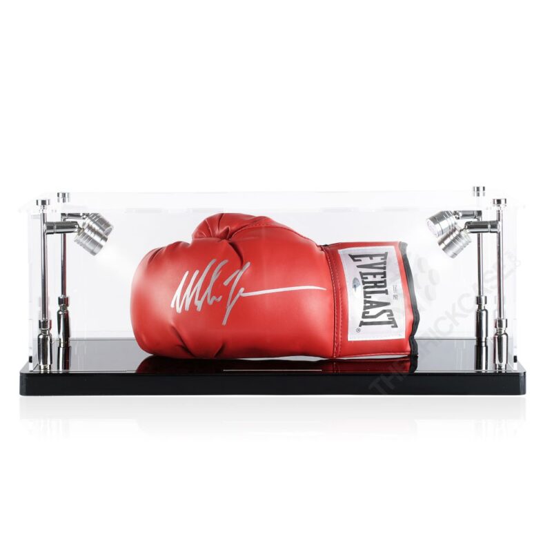 Boxing Glove Case - Front view BC0301-SPRW