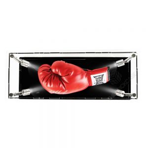 Boxing Glove Display Case - Top View BC0301-SPRW